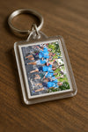 Evenement foto: Nijmeegse Vierdaagse 1079