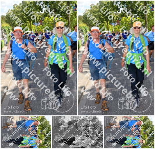 Evenement foto: Nijmeegse Vierdaagse 1079