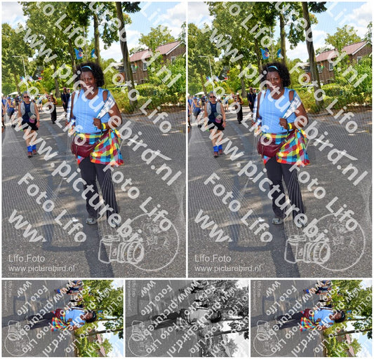 Evenement foto: Nijmeegse Vierdaagse 1079