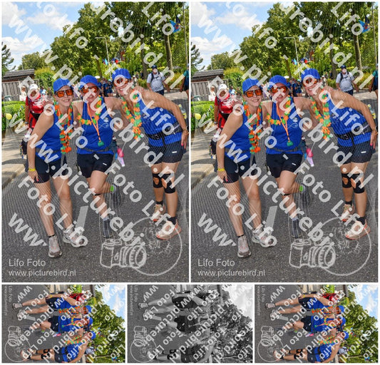 Evenement foto: Nijmeegse Vierdaagse 1079