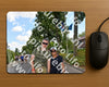 Evenement foto: Nijmeegse Vierdaagse 1079
