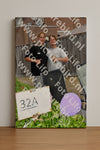 Evenement foto: Nijmeegse Vierdaagse 1079