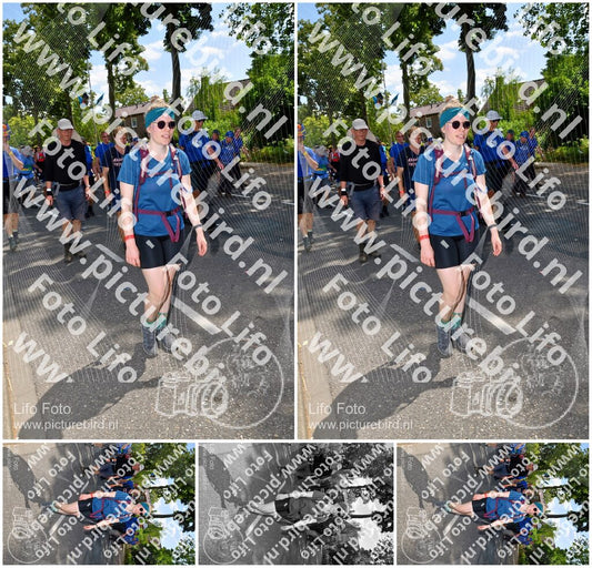 Evenement foto: Nijmeegse Vierdaagse 1078
