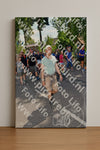 Evenement foto: Nijmeegse Vierdaagse 1078
