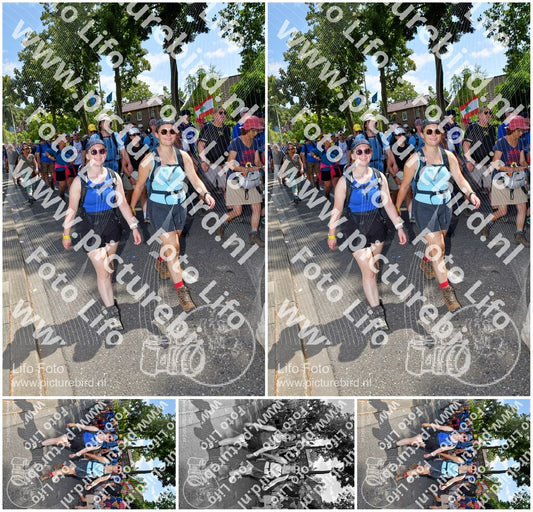 Evenement foto: Nijmeegse Vierdaagse 1078