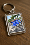 Evenement foto: Nijmeegse Vierdaagse 1078