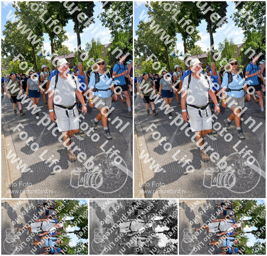 Evenement foto: Nijmeegse Vierdaagse 1078