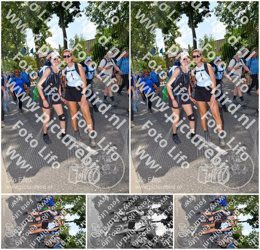 Evenement foto: Nijmeegse Vierdaagse 1078