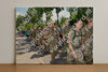 Evenement foto: Nijmeegse Vierdaagse 1078