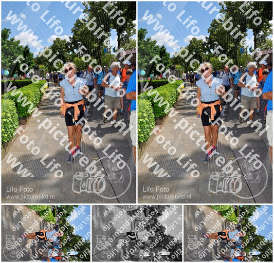 Evenement foto: Nijmeegse Vierdaagse 1078