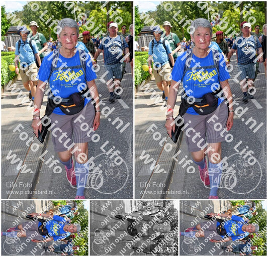 Evenement foto: Nijmeegse Vierdaagse 1078
