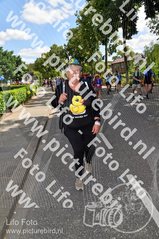 Evenement foto: Nijmeegse Vierdaagse 1078