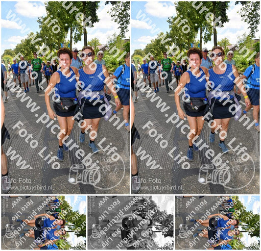 Evenement foto: Nijmeegse Vierdaagse 1078