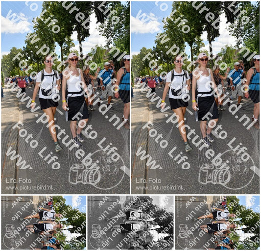 Evenement foto: Nijmeegse Vierdaagse 1078