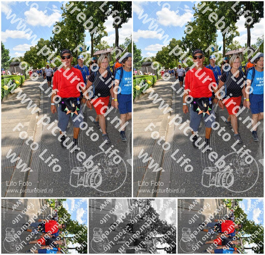 Evenement foto: Nijmeegse Vierdaagse 1078