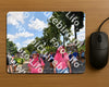 Evenement foto: Nijmeegse Vierdaagse 1078