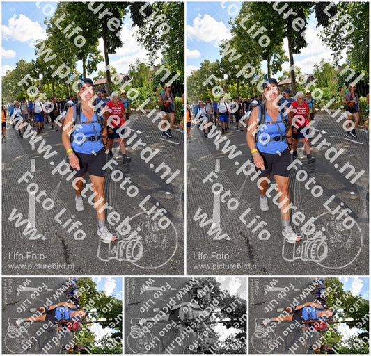 Evenement foto: Nijmeegse Vierdaagse 1078