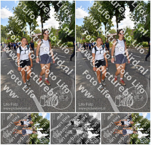 Evenement foto: Nijmeegse Vierdaagse 1078