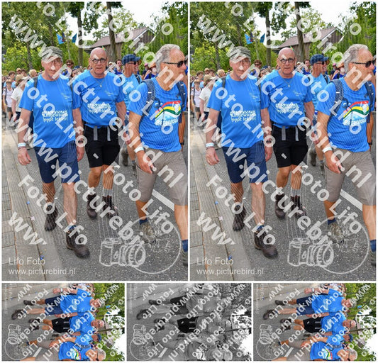 Evenement foto: Nijmeegse Vierdaagse 1077