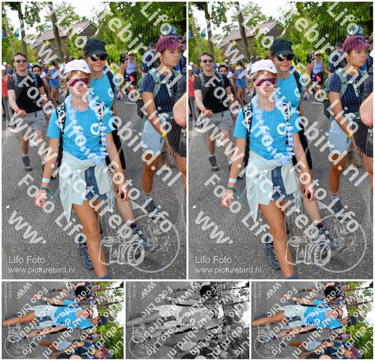 Evenement foto: Nijmeegse Vierdaagse 1077