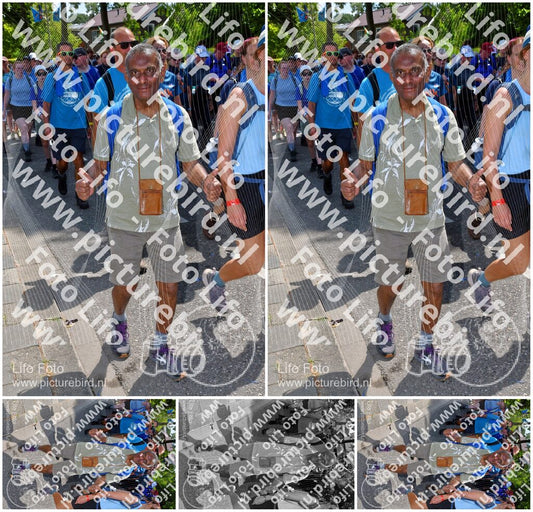Evenement foto: Nijmeegse Vierdaagse 1077