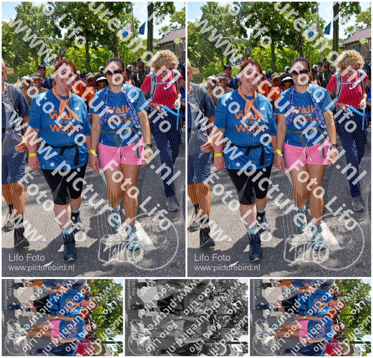 Evenement foto: Nijmeegse Vierdaagse 1077