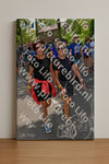 Evenement foto: Nijmeegse Vierdaagse 1077