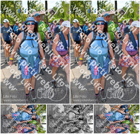 Evenement foto: Nijmeegse Vierdaagse 1077