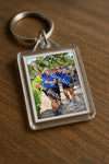 Evenement foto: Nijmeegse Vierdaagse 1077