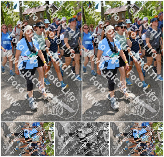 Evenement foto: Nijmeegse Vierdaagse 1077