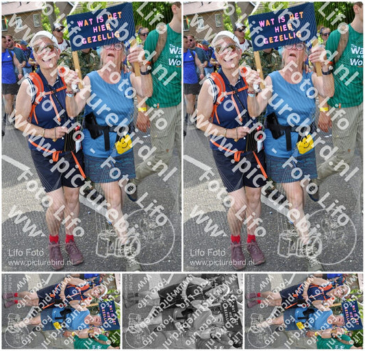 Evenement foto: Nijmeegse Vierdaagse 1077