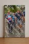 Evenement foto: Nijmeegse Vierdaagse 1077