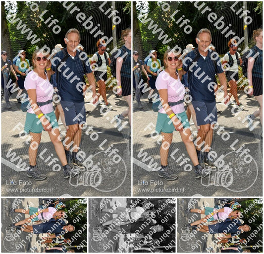 Evenement foto: Nijmeegse Vierdaagse 1076