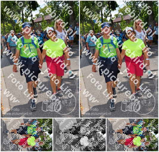 Evenement foto: Nijmeegse Vierdaagse 1076