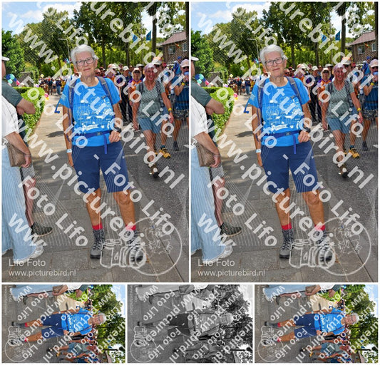 Evenement foto: Nijmeegse Vierdaagse 1076