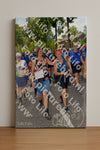 Evenement foto: Nijmeegse Vierdaagse 1076