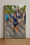 Evenement foto: Nijmeegse Vierdaagse 1076