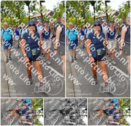 Evenement foto: Nijmeegse Vierdaagse 1076