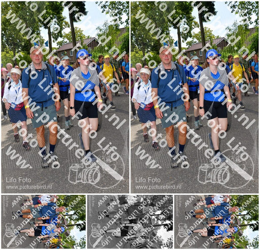 Evenement foto: Nijmeegse Vierdaagse 1076