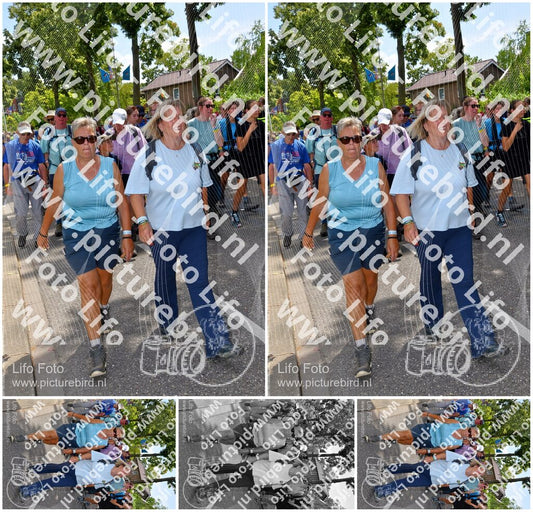 Evenement foto: Nijmeegse Vierdaagse 1076