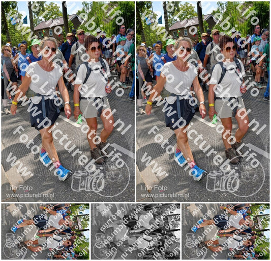 Evenement foto: Nijmeegse Vierdaagse 1076