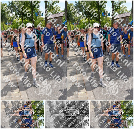 Evenement foto: Nijmeegse Vierdaagse 1076