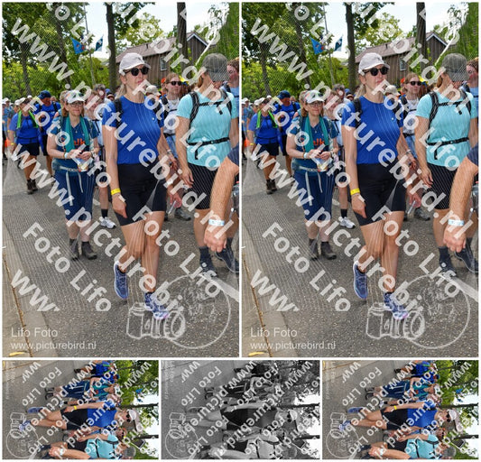 Evenement foto: Nijmeegse Vierdaagse 1076