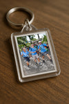 Evenement foto: Nijmeegse Vierdaagse 1076