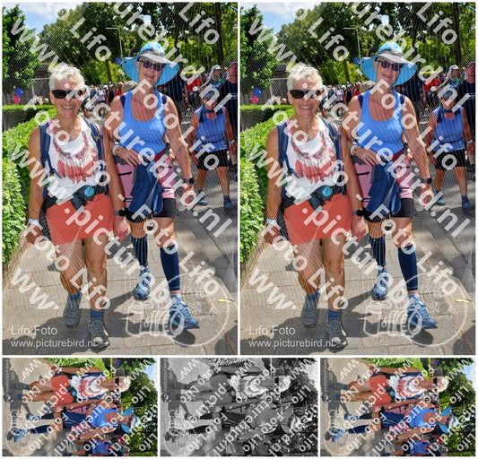 Evenement foto: Nijmeegse Vierdaagse 1076
