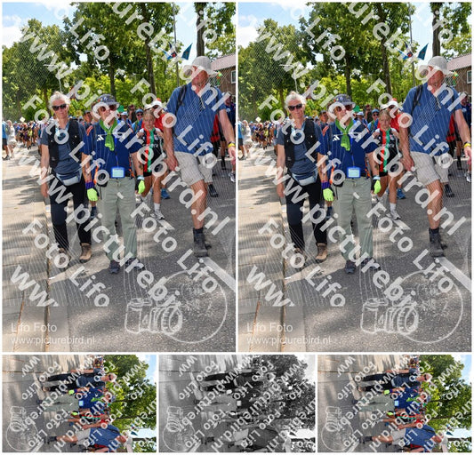 Evenement foto: Nijmeegse Vierdaagse 1076