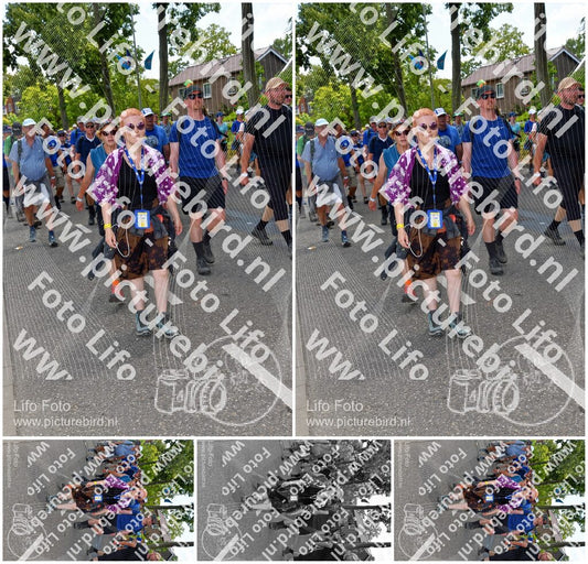 Evenement foto: Nijmeegse Vierdaagse 1076