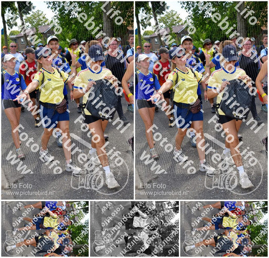 Evenement foto: Nijmeegse Vierdaagse 1076
