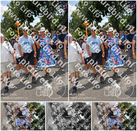 Evenement foto: Nijmeegse Vierdaagse 1075