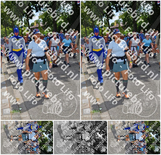 Evenement foto: Nijmeegse Vierdaagse 1075
